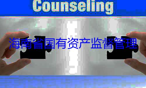 资产监督管查调查海南省国有理委员会党有福接受审委副书记王